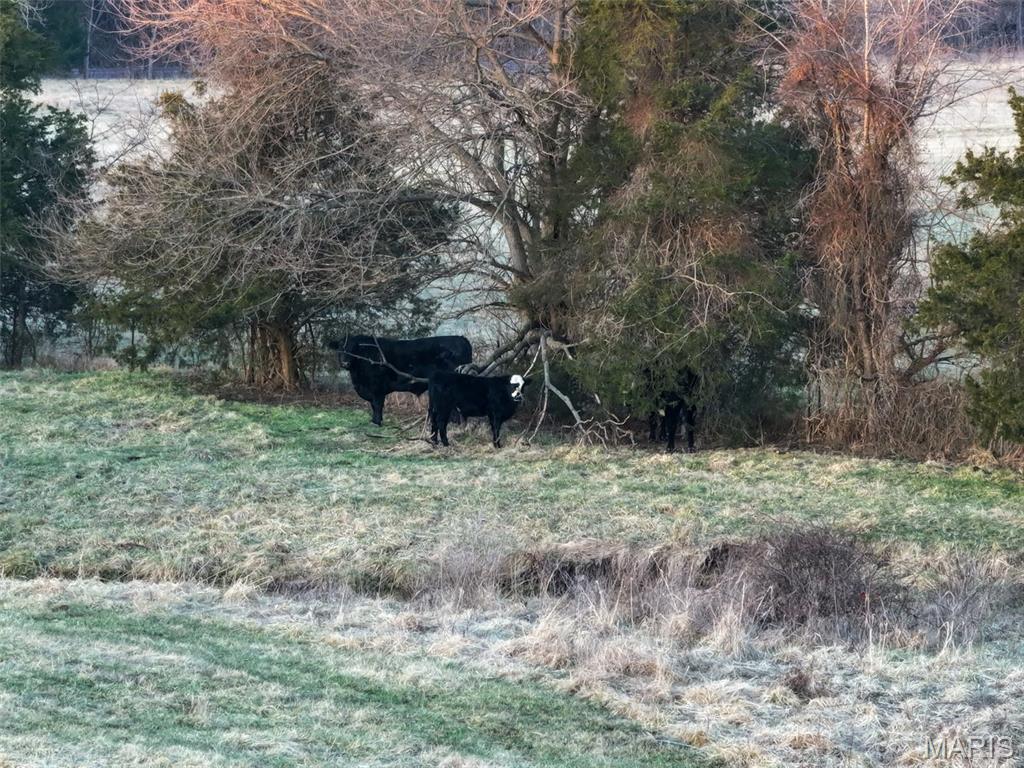 13336 Mt Olive Road De Soto, MO 63020 - Photo 34 of 54