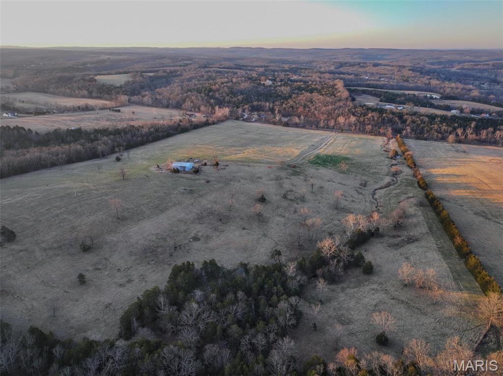 13336 Mt Olive Road De Soto, MO 63020 - Photo 41 of 54
