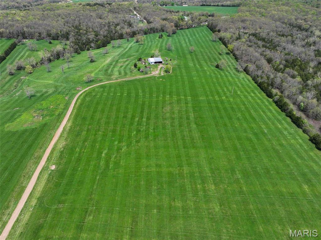 13336 Mt Olive Road De Soto, MO 63020 - Photo 5 of 54