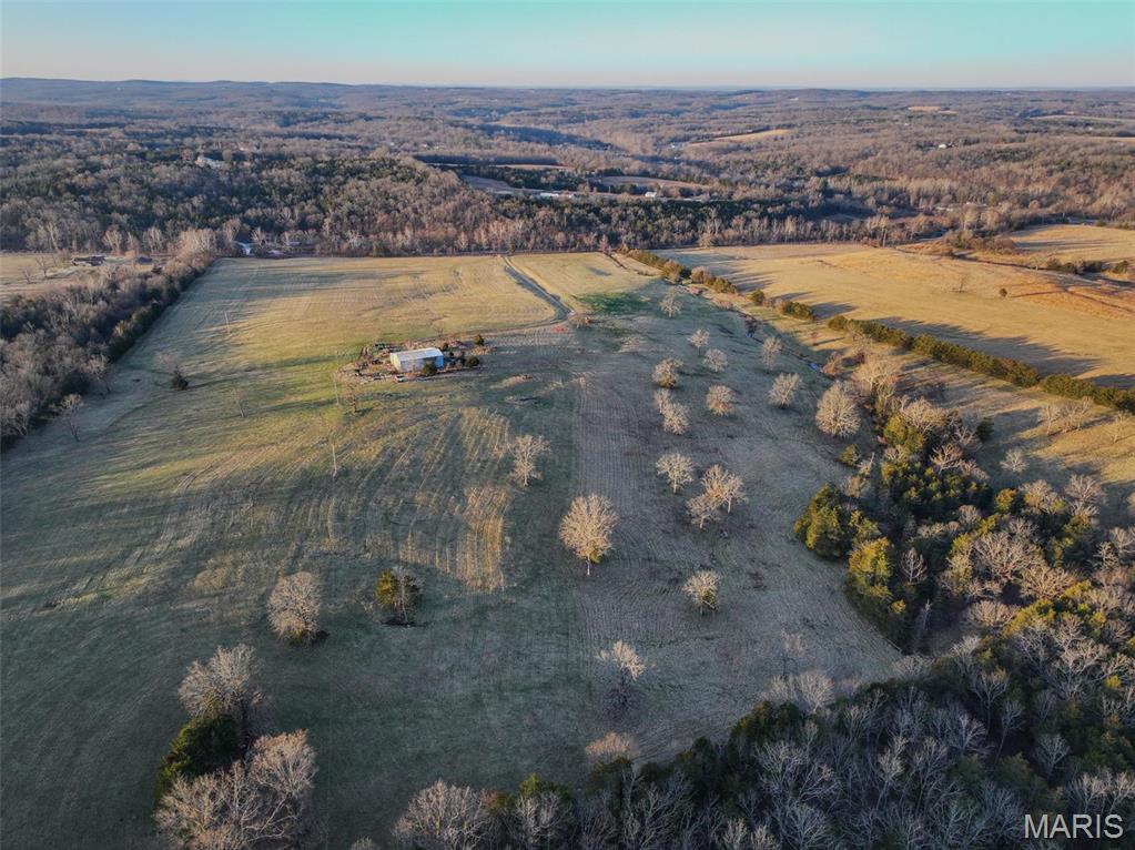 13336 Mt Olive Road De Soto, MO 63020 - Photo 52 of 54