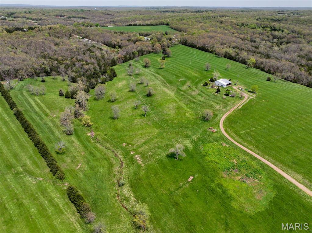 13336 Mt Olive Road De Soto, MO 63020 - Photo 7 of 54