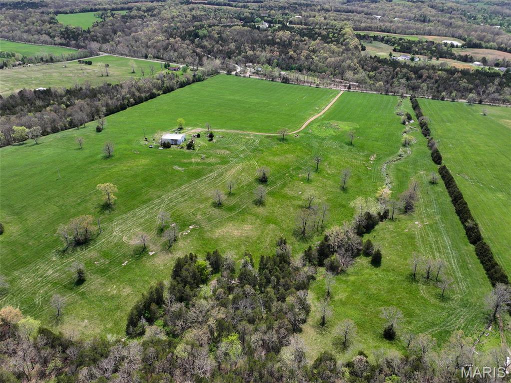 13336 Mt Olive Road De Soto, MO 63020 - Photo 9 of 54