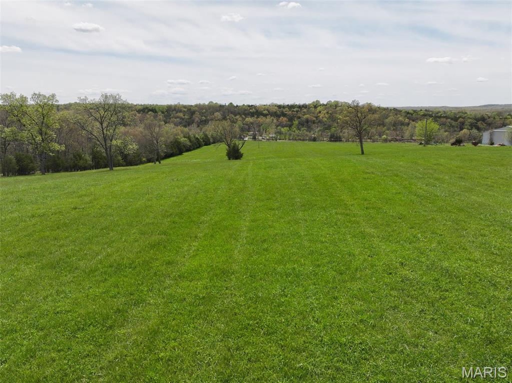 13336 Mt Olive Road De Soto, MO 63020 - Photo 10 of 54