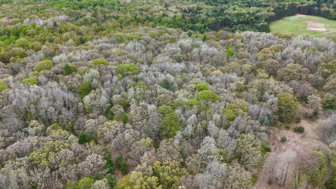 6153 South Branch Road Branch, MI 49402 - Photo 39 of 70 32