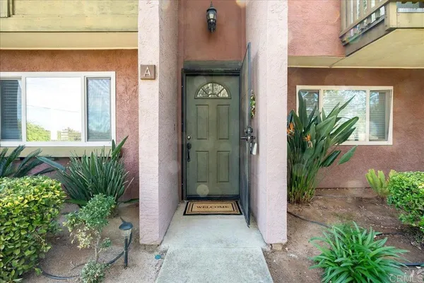 a view of a potted plants in front of a door
