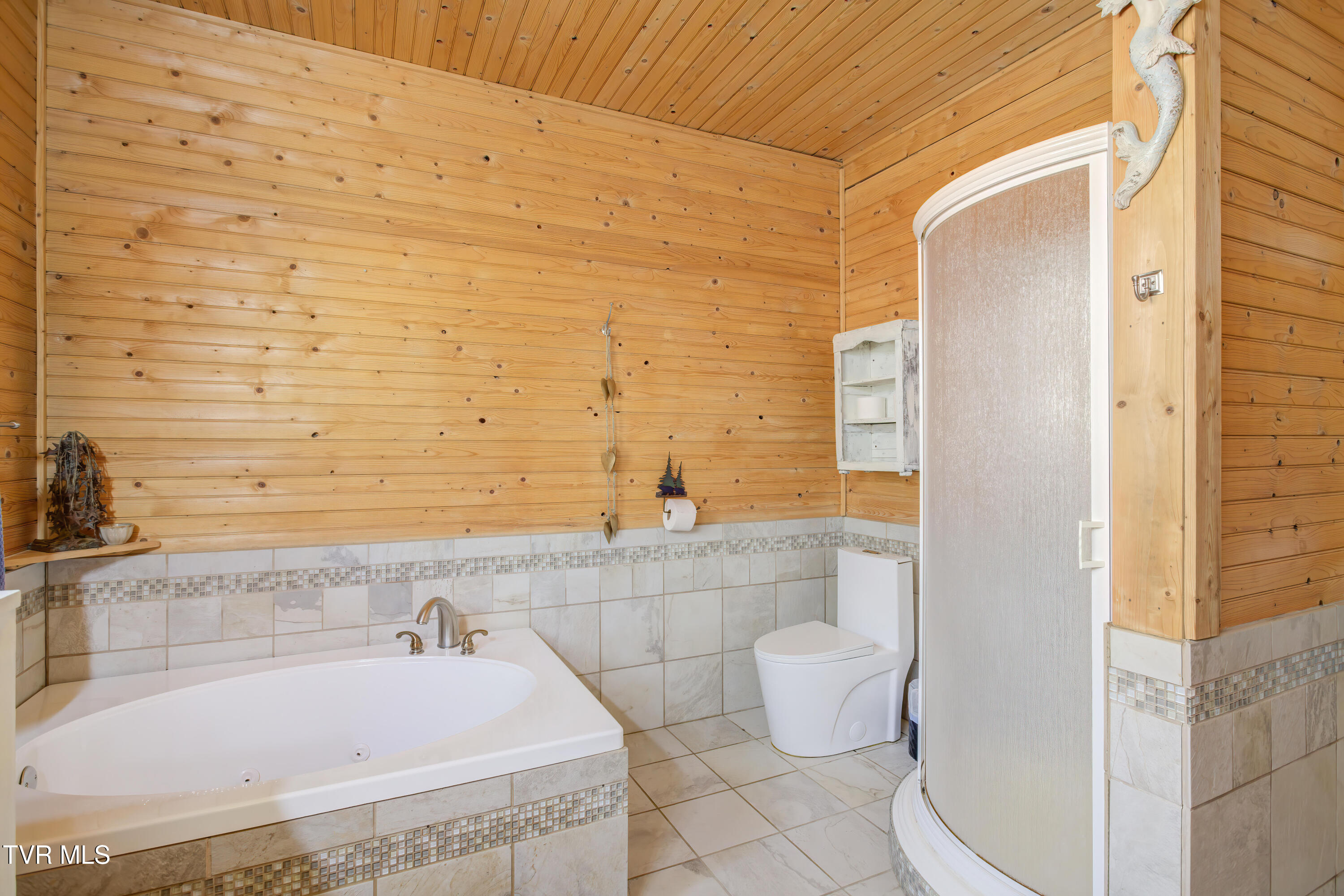 665 Laurels Road Johnson City, TN 37601 - Photo 21 of 43 665 Laurels (25)