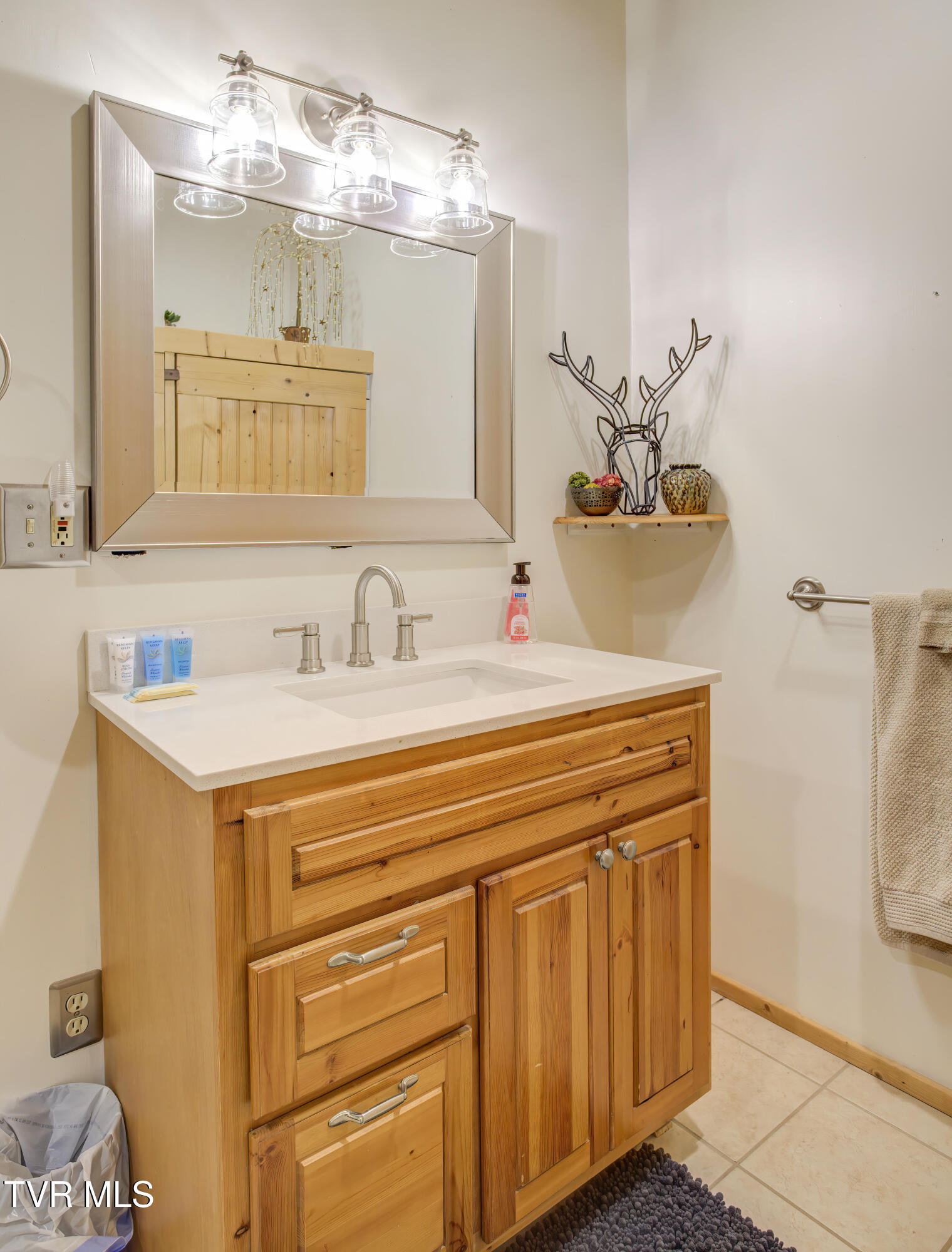 665 Laurels Road Johnson City, TN 37601 - Photo 34 of 43 665 Laurels (38)