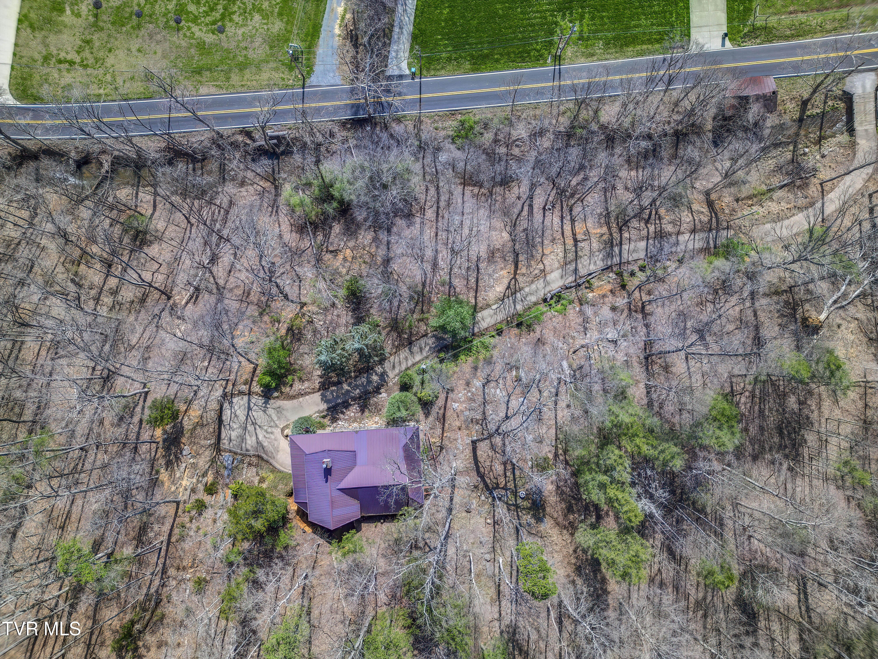 665 Laurels Road Johnson City, TN 37601 - Photo 42 of 43 665 Laurels (8)