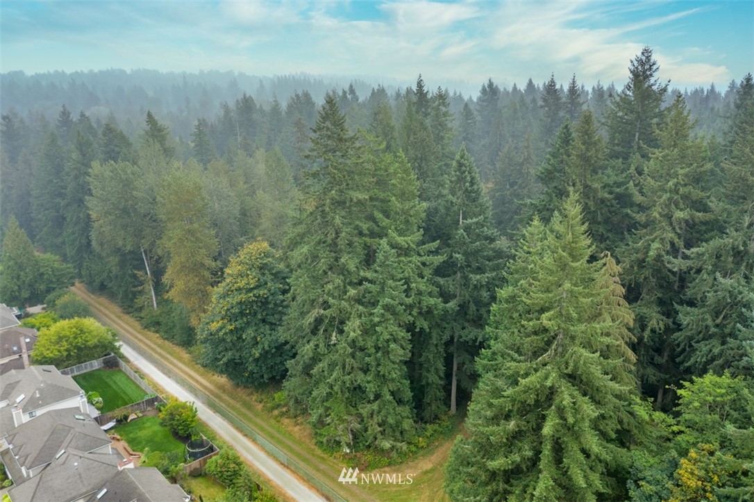 15720 Southeast 184th Street Renton, WA 98058 - Photo 5 of 30 a view of a forest from a balcony