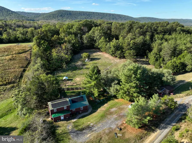 an aerial view of a forest with mountain