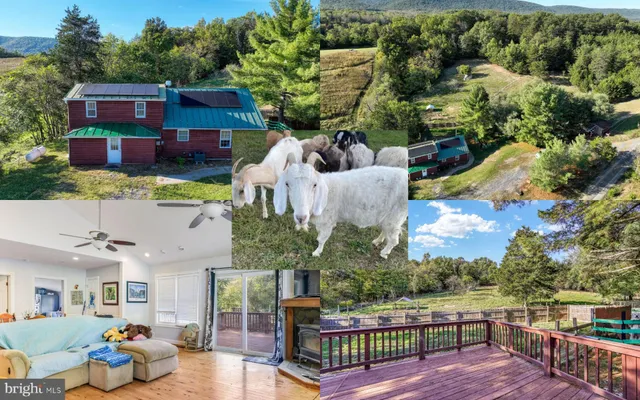 a view of city from balcony