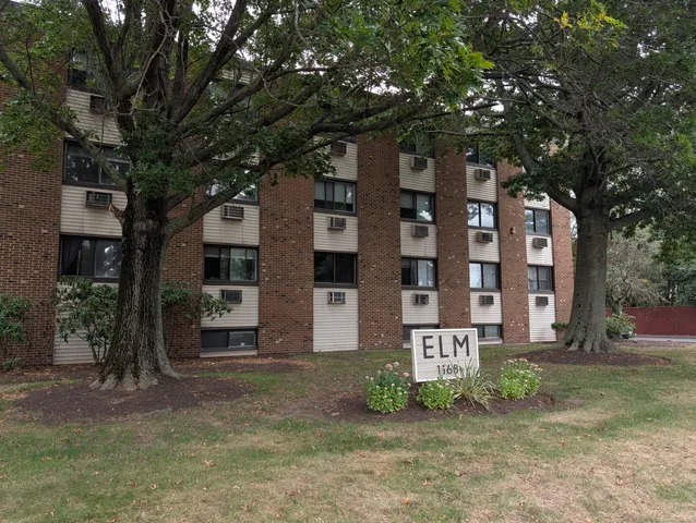 a view of a big building with large tree and windows