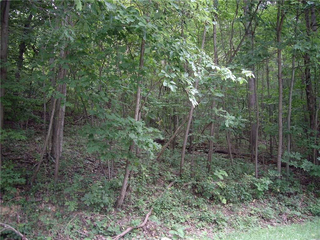 0 Karch Road Burgettstown, PA 15021 - Photo 3 of 3