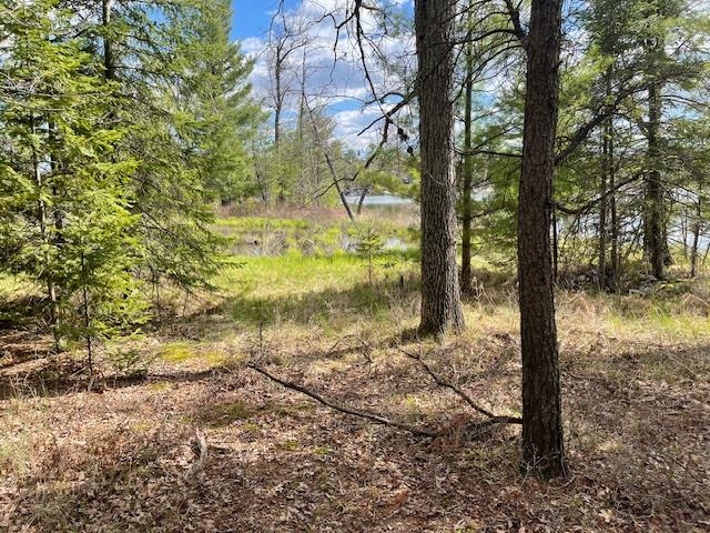 3395 Mills Road Prescott, MI 48756 - Photo 2 of 5