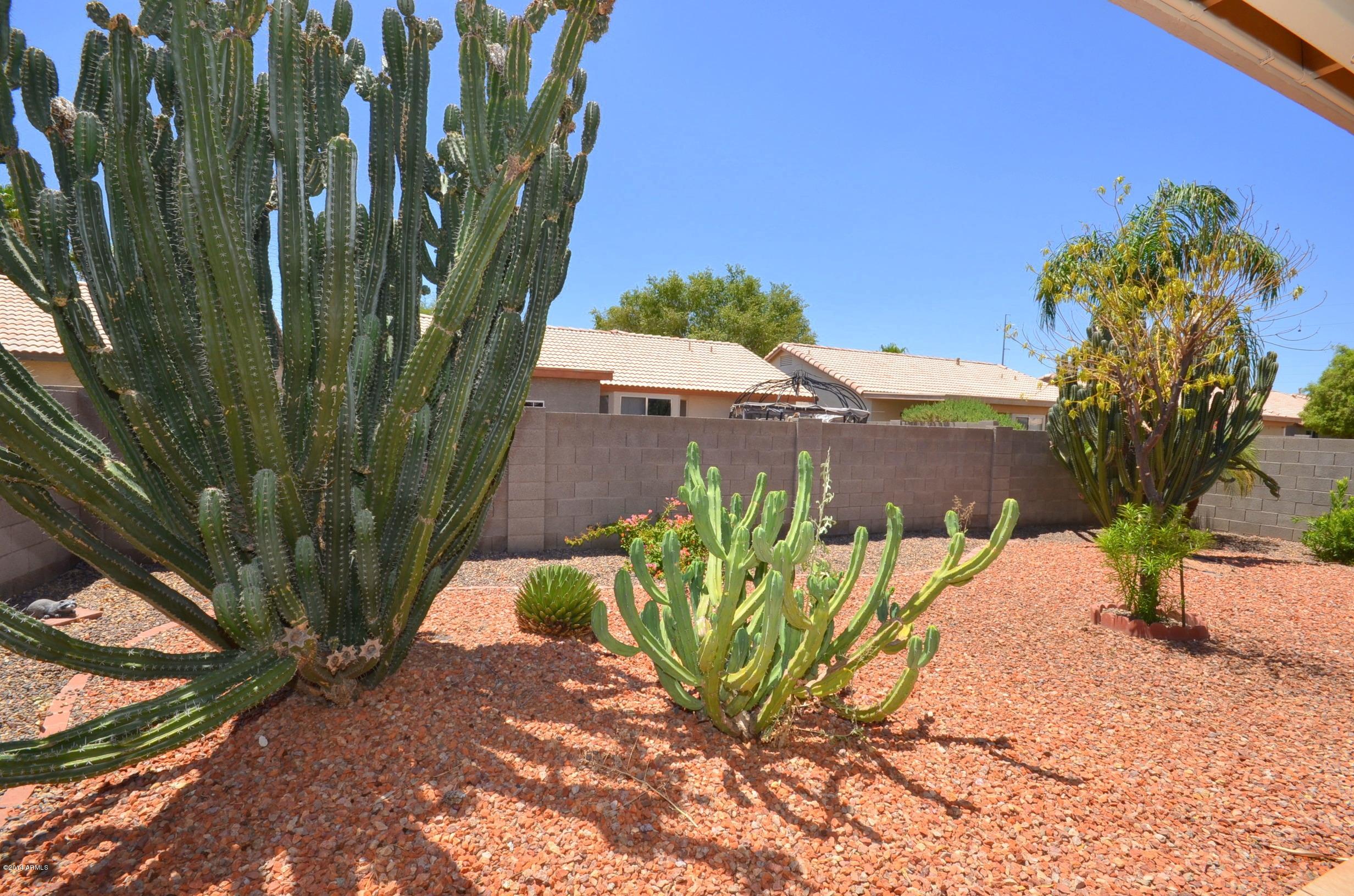 441 East Del Rio Street Chandler, AZ 85225 - Photo 17 of 22 DSC_5196