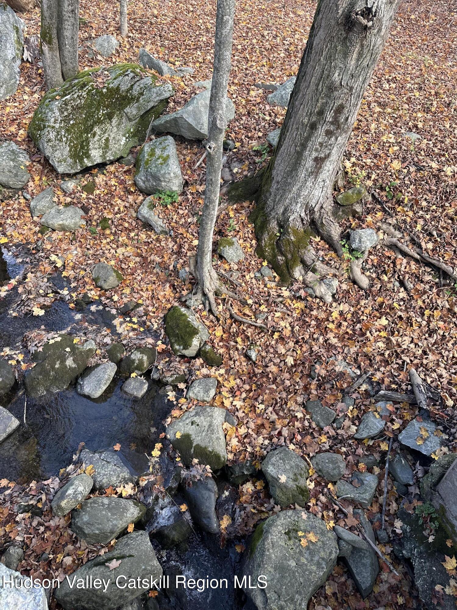 0 Labranch Hillsdale, NY 12529 - Photo 12 of 13