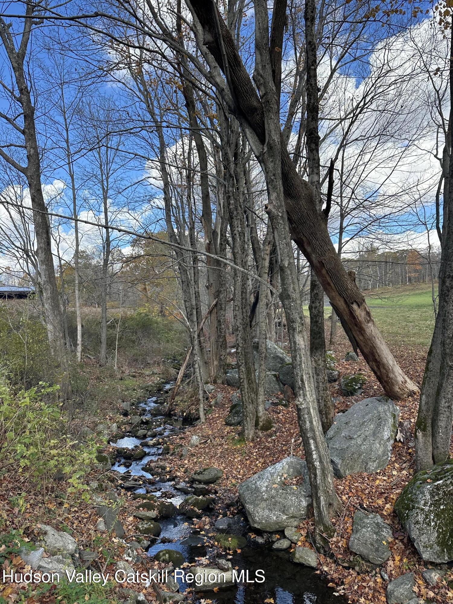 0 Labranch Hillsdale, NY 12529 - Photo 13 of 13 a backyard of a house with lots of green space