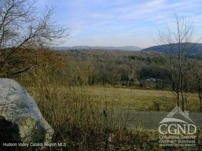 0 Labranch Hillsdale, NY 12529 - Photo 3 of 13 a view of an outdoor space and a yard