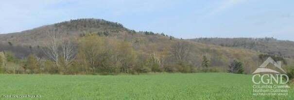 0 Labranch Hillsdale, NY 12529 - Photo 5 of 13 a view of a yard with a mountain