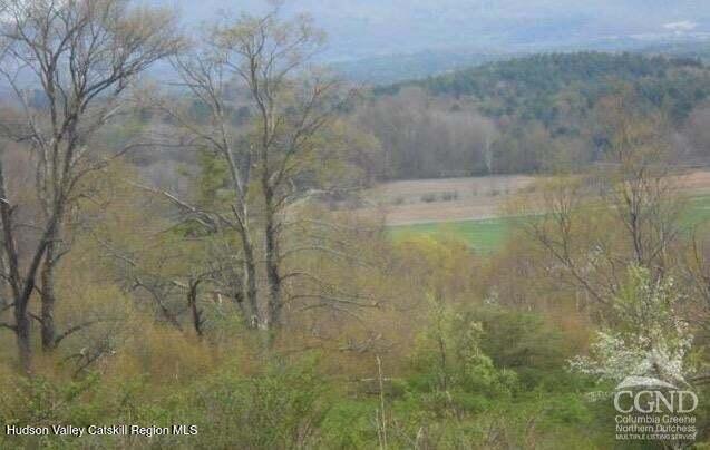 0 Labranch Hillsdale, NY 12529 - Photo 6 of 13 a view of a bathroom shower