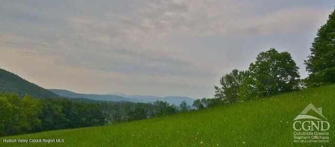 0 Labranch Hillsdale, NY 12529 - Photo 8 of 13 a view of a lush green space with sea
