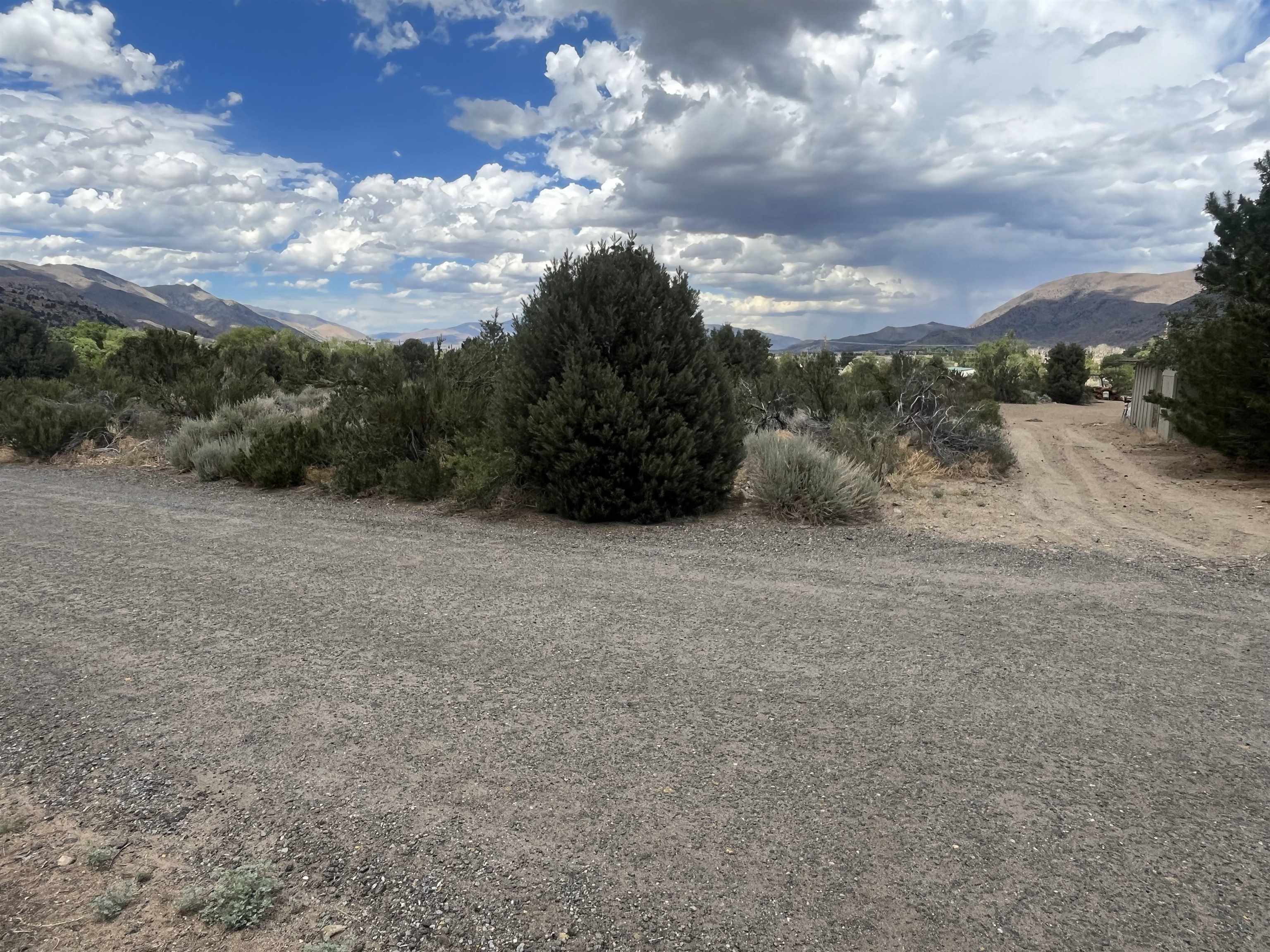 Lot 003 Mule Deer Road, Unit 3 Coleville, CA 96107 - Photo 3 of 4 a view of a dry yard with wooden fence
