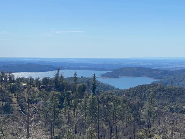 a view of a large yard with lots of trees