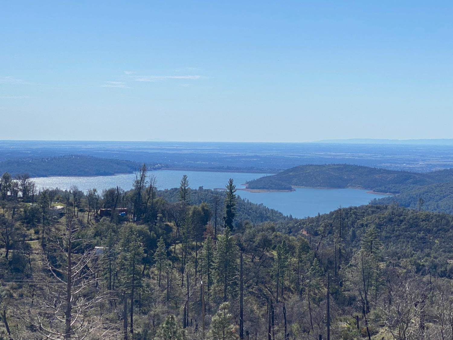 709 Encina Grande Road Berry Creek, CA 95916 - Photo 11 of 12 a view of a large yard with lots of trees