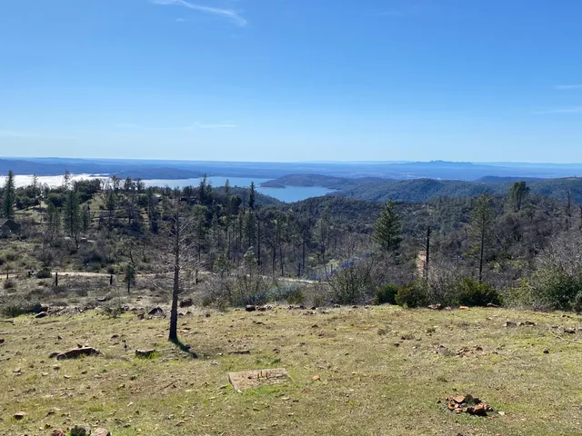 a view of a dry yard with a tree