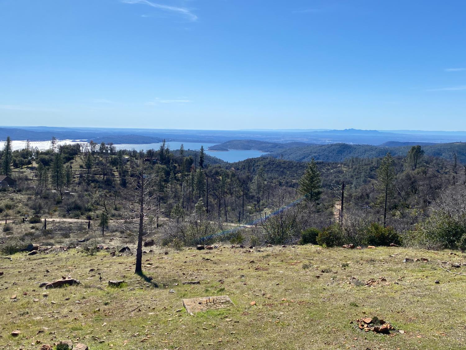 709 Encina Grande Road Berry Creek, CA 95916 - Photo 10 of 12 a view of a dry yard with a tree
