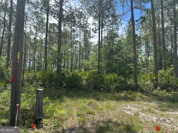 $29,000 | 57 Lakeview Drive, Folkston, GA 31537
