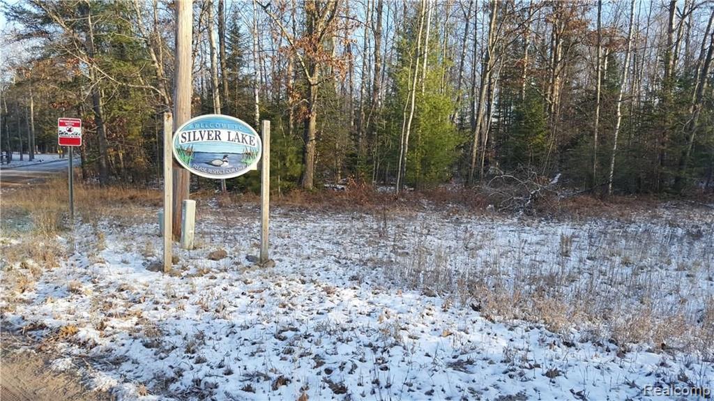 0 Brown Road Sears, MI 49679 - Photo 4 of 6
