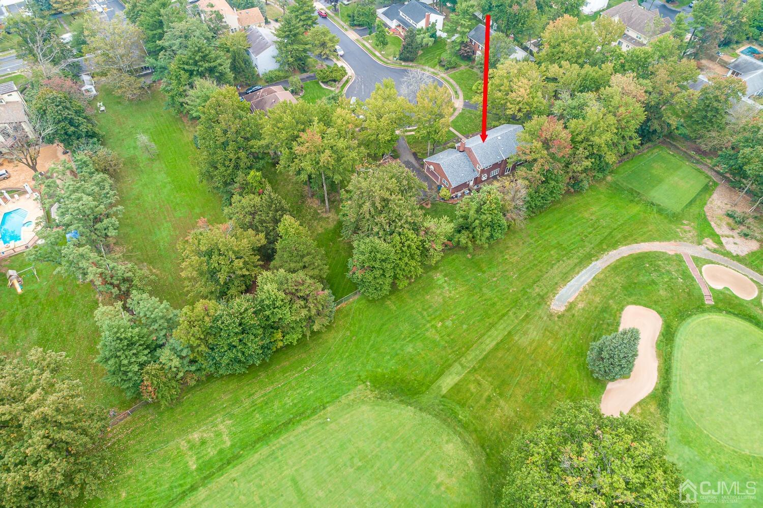 8 Bluebird Court Edison, NJ 08820 - Photo 8 of 15 a backyard of a house with lots of green space and trees all around