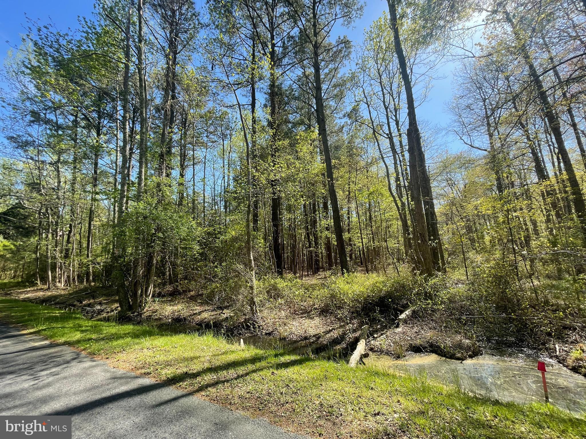 0 Cemetery Road Chance, MD 21821 - Photo 1 of 2