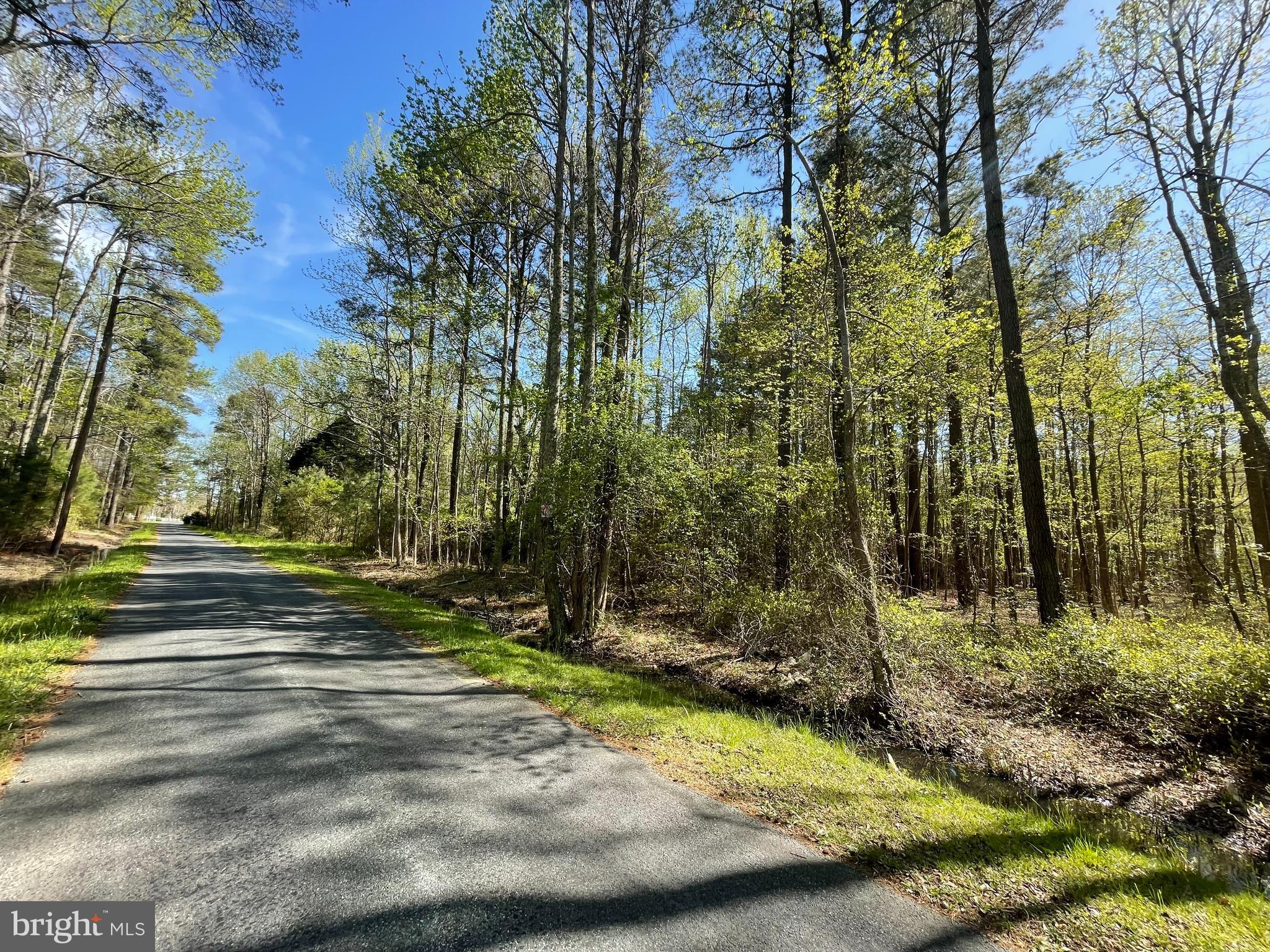 0 Cemetery Road Chance, MD 21821 - Photo 2 of 2