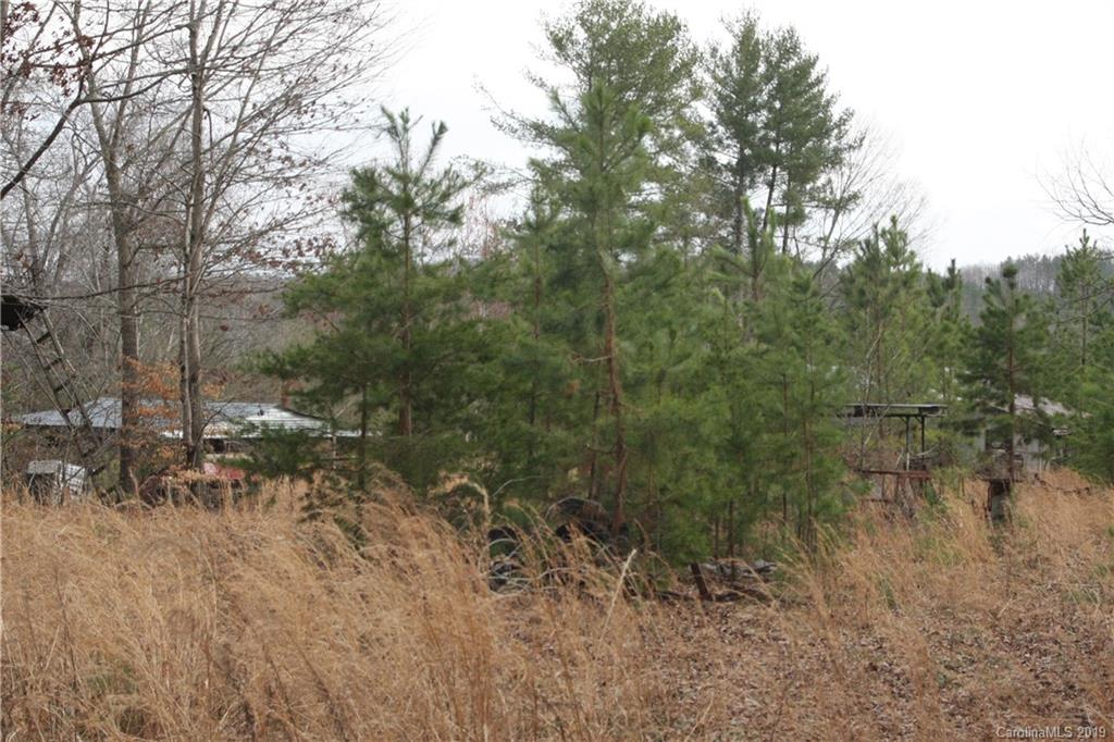 3152 Rant Drum Road Maiden, NC 28650 - Photo 11 of 13 Gallery Image 11