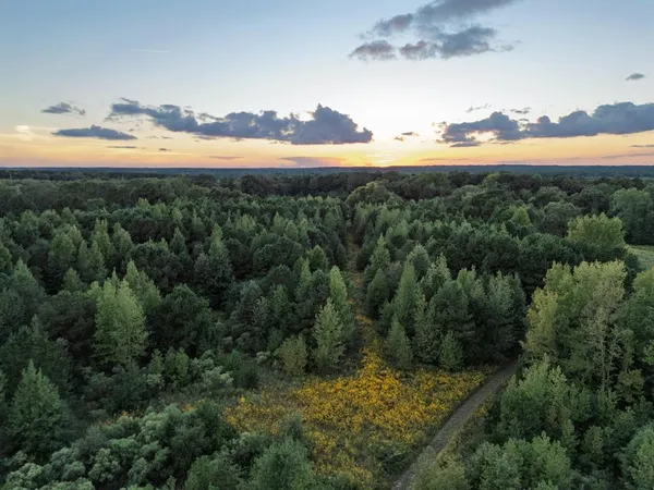 $648,900 | 1998 St Karnack Tx 75661, Karnack, TX 75661