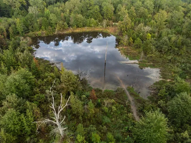 $721,000 | 1998 St Karnack Tx 75661, Karnack, TX 75661