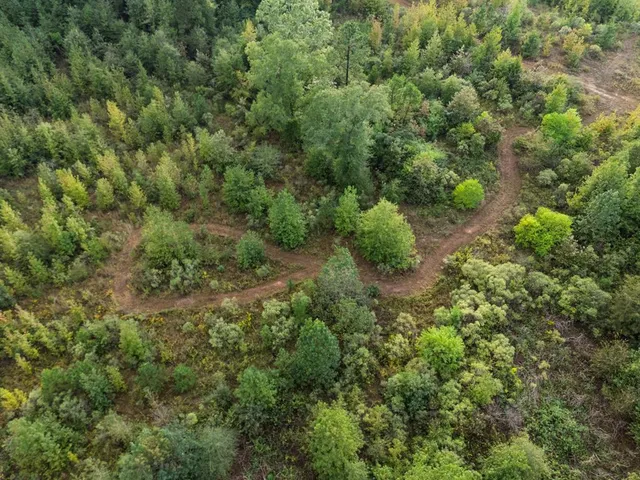 $721,000 | 1998 St Karnack Tx 75661, Karnack, TX 75661