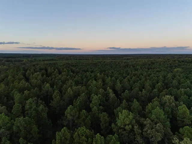 $721,000 | 1998 St Karnack Tx 75661, Karnack, TX 75661