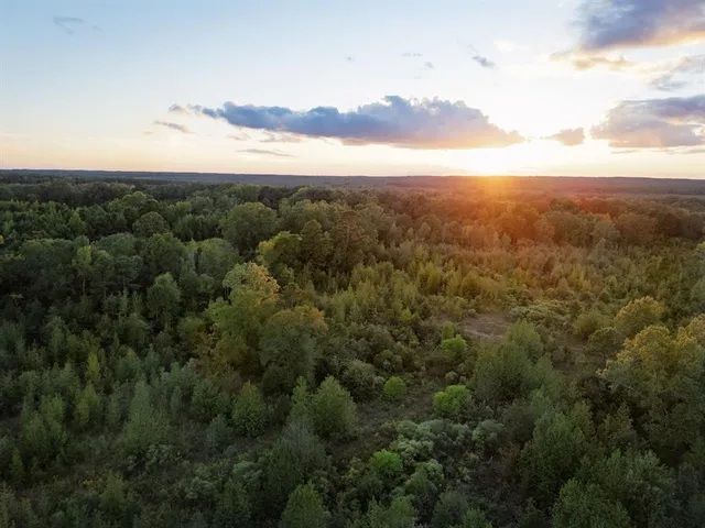 $721,000 | 1998 St Karnack Tx 75661, Karnack, TX 75661