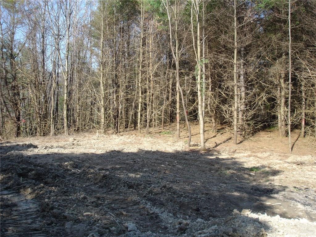 1.40-acres Plummer Road Gorham, ME 04038 - Photo 19 of 20 Photo