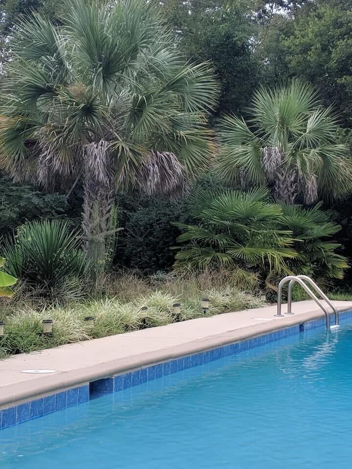 3302 Storm Branch Road Beech Island, SC 29842 - Photo 3 of 3 Gallery Image 3