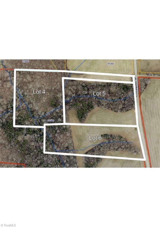 6485 Endwell Road, Unit LOT 4 Gibsonville, NC 27249 - Photo 5 of 7