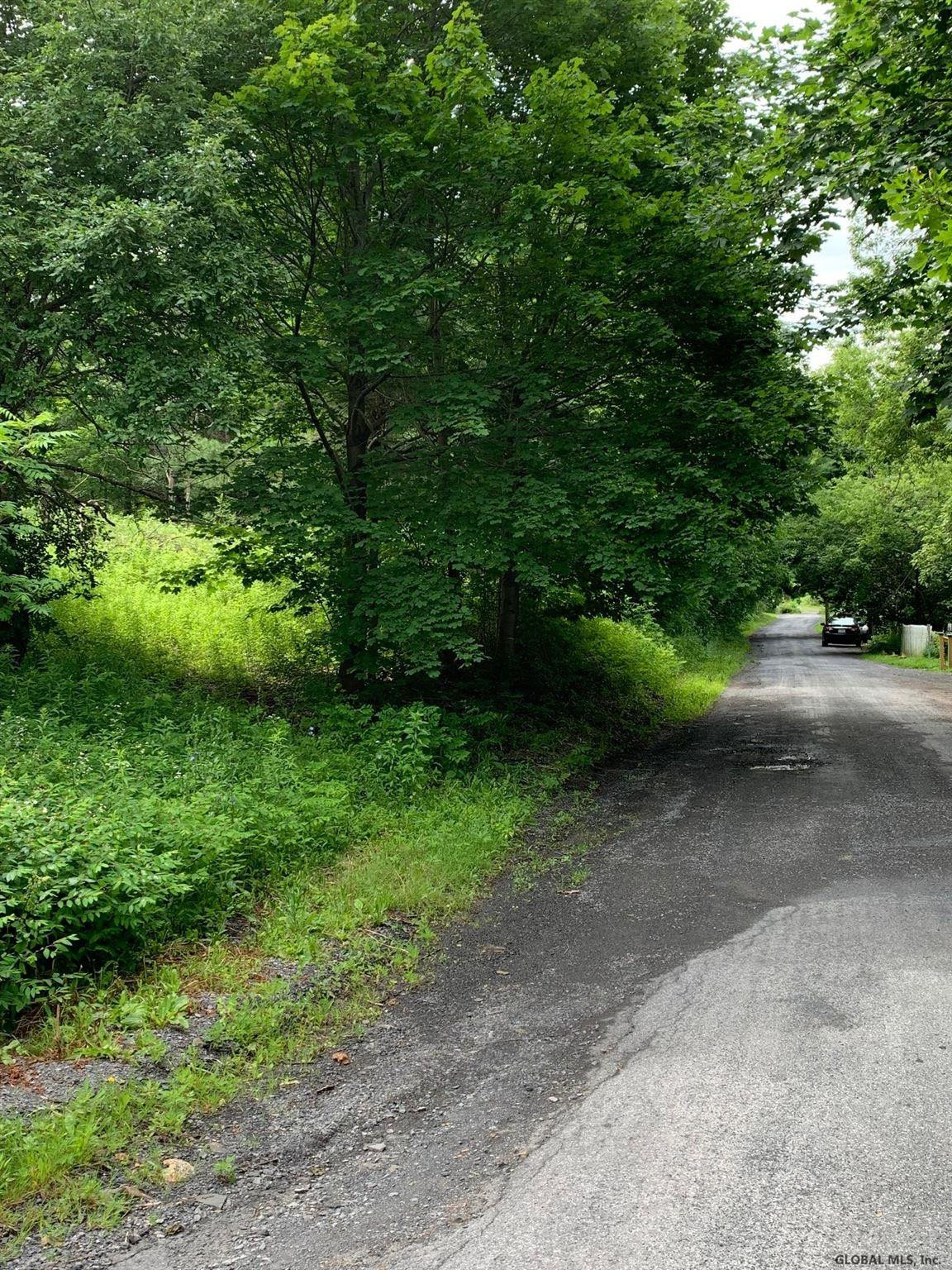 0 Echo Point Road Berne, NY 12023 - Photo 5 of 8 Photo 5