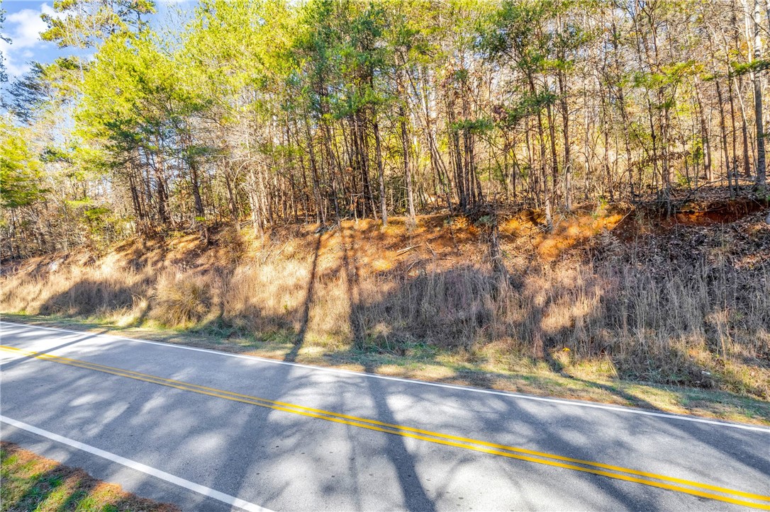 0 River Road Westminster, SC 29693 - Photo 15 of 25 Gallery Image 15