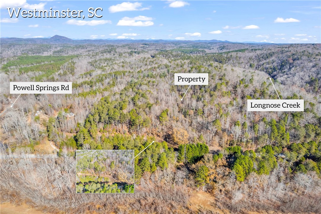 0 River Road Westminster, SC 29693 - Photo 6 of 25 Gallery Image 6