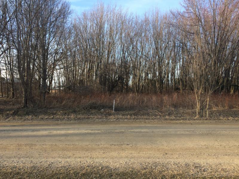 0 Gardner Line Road Croswell, MI 48422 - Photo 1 of 1