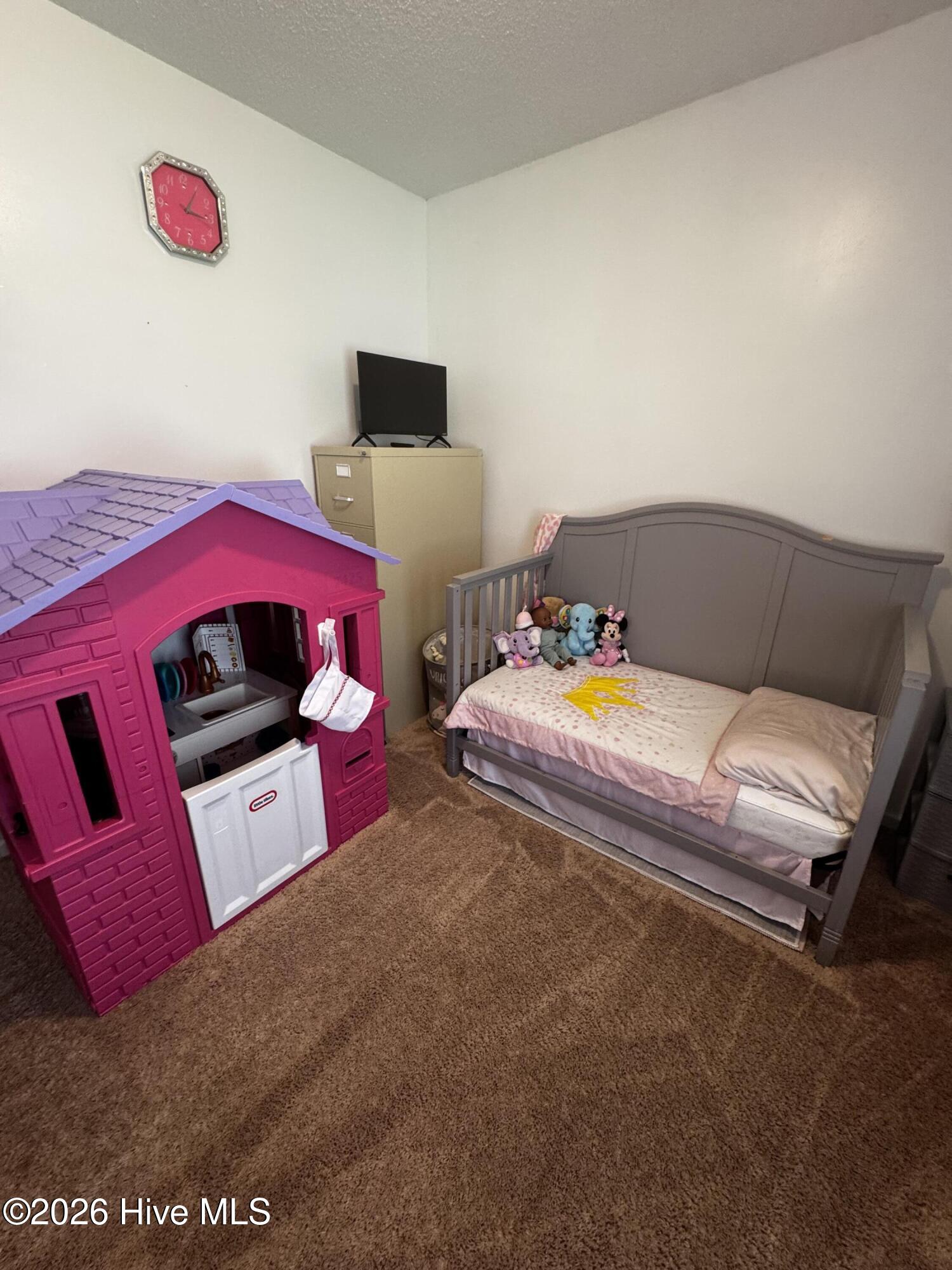 208 Holloman Road Ahoskie, NC 27910 - Photo 12 of 14 IMG_9329