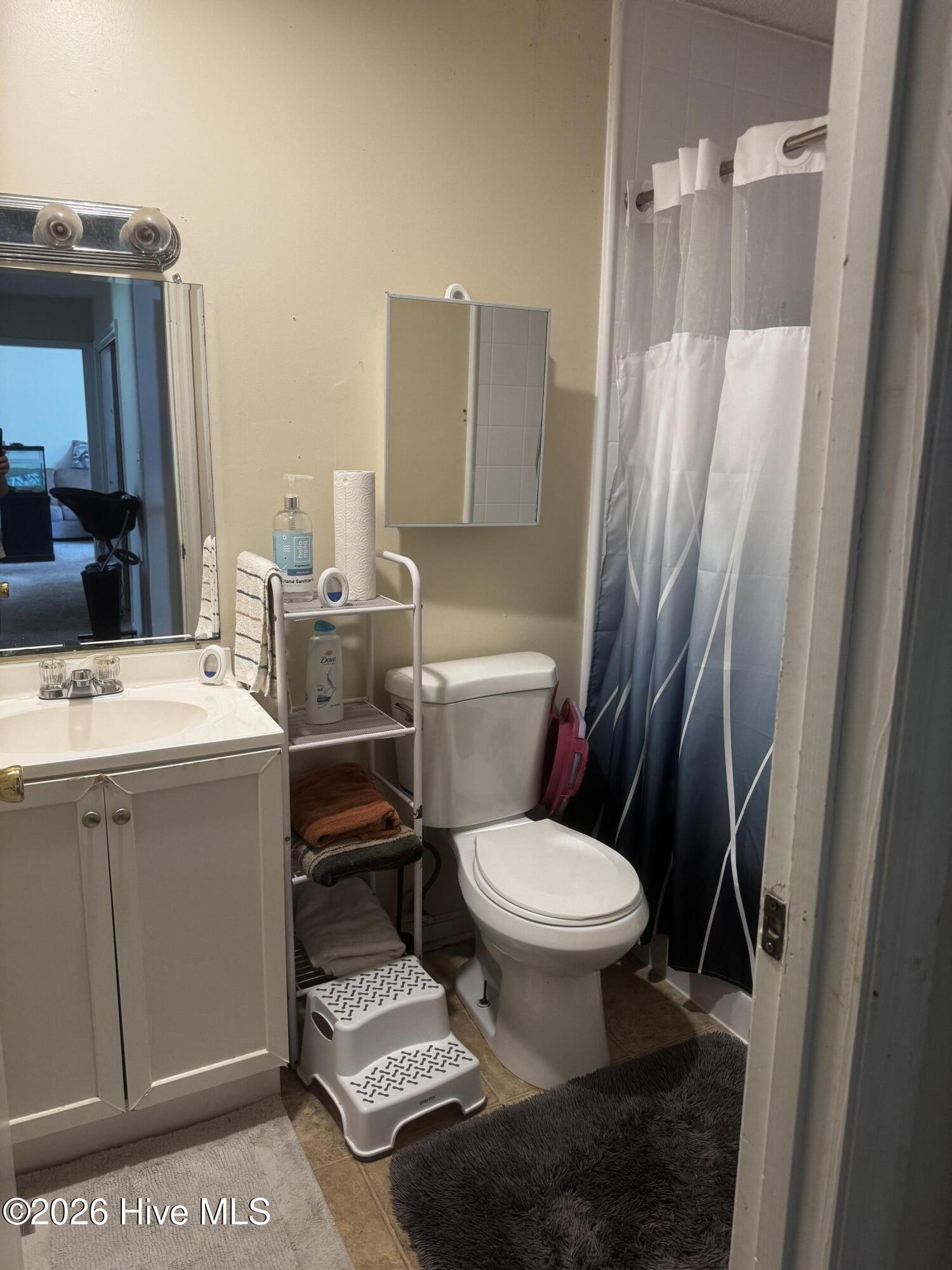 208 Holloman Road Ahoskie, NC 27910 - Photo 13 of 14 hall bath